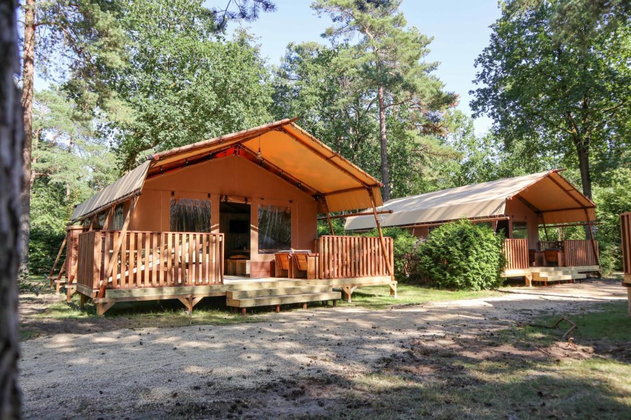 Europarcs De Zanding Otterlo Rum bild